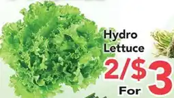 Eurofresh Market Hydro Lettuce offer