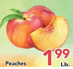 Eurofresh Market Peaches offer