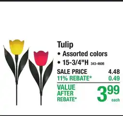 Menards Tulip offer