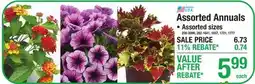 Menards Assorted Annuals offer