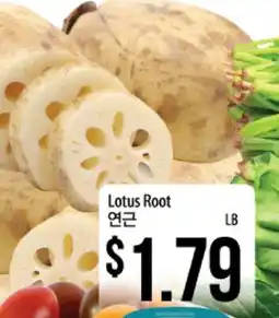 Hmart Lotus Root offer