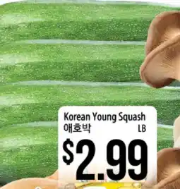 Hmart Korean Young Squash offer