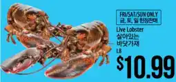 Hmart Live Lobster offer