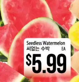 Hmart Seedless Watermelon offer