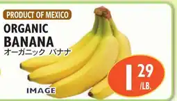 Nijiya Market ORGANIC BANANA offer