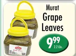 Garden Fresh Market Murat Grape Leaves offer