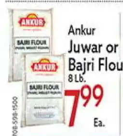 World Fresh Market Ankur Juwar or Bajri Flour offer