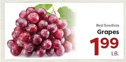 Rich's Fresh Market Red Seedless Grapes offer
