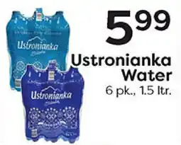 Rich's Fresh Market Ustronianka Water offer