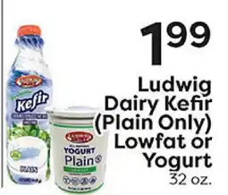 Rich's Fresh Market Ludwig Dairy Kefir (Plain Only) Lowfat or Yogurt offer