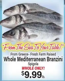 Angelo Caputo's Fresh Market From Greece-Fresh Farm Raised Whole Mediterranean Branzini Spigola offer