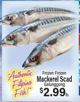 Angelo Caputo's Fresh Market Frozen Frozen Mackerel Scad Galunggong offer