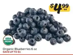 Winn Dixie Organic Blueberries offer
