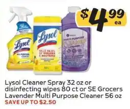 Winn Dixie Lysol Cleaner Spray or SE Grocers Cleaner offer