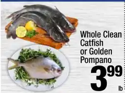 Super King Markets Whole Clean Catfish or Golden Pompano offer