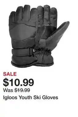 Dick's Sporting Goods Igloos Youth Ski Gloves offer