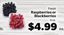 Living Fresh Market Fresh Raspberries or Blackberries offer