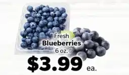 Living Fresh Market Fresh Blueberries offer