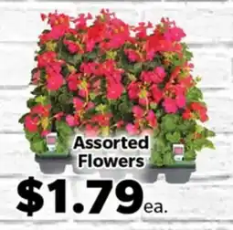Living Fresh Market Assorted Flowers offer