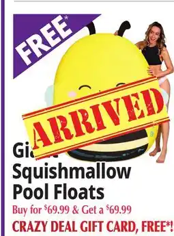 Ocean State Job Lot Squishmallow Pool Floats offer
