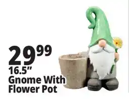 Ocean State Job Lot 16.5 Gnome With Flower Pot offer