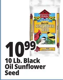 Ocean State Job Lot 10 Lb. Black Oil Sunflower Seed offer
