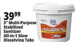 Ocean State Job Lot 3 Multi-Purpose Stabilized Sanitizer All-in-1 Slow Dissolving Tabs offer