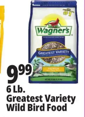 Ocean State Job Lot 6 Lb. Greatest Variety Wild Bird Food offer