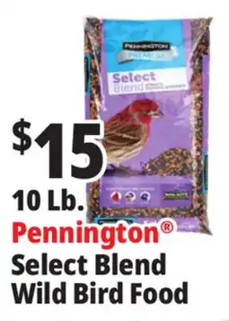Ocean State Job Lot Pennington Select Blend Wild Bird offer