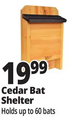 Ocean State Job Lot Cedar Bat Shelter offer