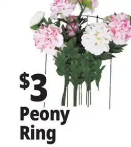 Ocean State Job Lot Peony Ring offer