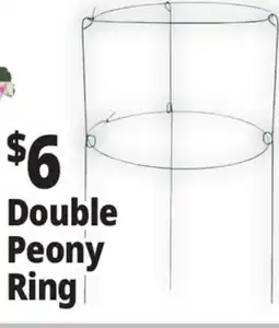 Ocean State Job Lot Double Peony Ring offer