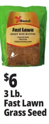 Ocean State Job Lot 3 Lb. Fast Lawn Grass Seed offer