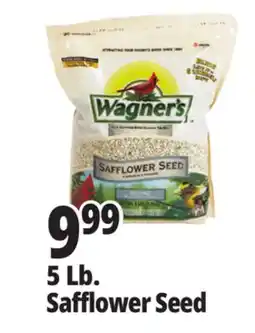Ocean State Job Lot 5 Lb. Safflower Seed offer