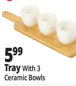 Ocean State Job Lot Tray With 3 Ceramic Bowls offer