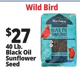 Ocean State Job Lot 40 Lb. Black Oil Sunflower Seed offer