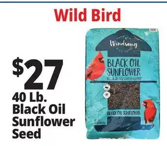 Ocean State Job Lot 40 Lb. Black Oil Sunflower Seed offer