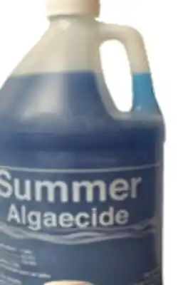 Ocean State Job Lot Algaecide offer