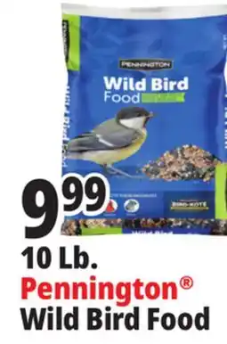Ocean State Job Lot Pennington Wild Bird Food offer