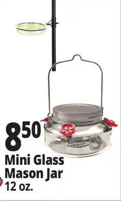 Ocean State Job Lot Mini Glass Mason Jar offer