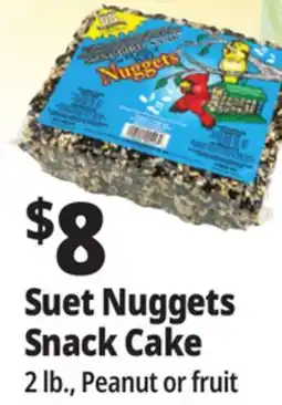 Ocean State Job Lot Suet Nuggets Snack Cake offer