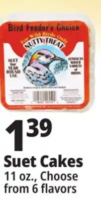 Ocean State Job Lot Bird Feeder's Choice Suet Cakes offer