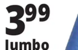 Ocean State Job Lot Jumbo Water Noodle offer