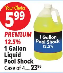Ocean State Job Lot PREMIUM 12.5% 1 Gallon Pool Shock offer