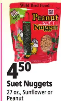 Ocean State Job Lot Suet Nuggets offer