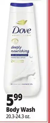 Ocean State Job Lot Body Wash offer