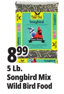Ocean State Job Lot 5 Lb. Songbird Mix Wild Bird Food offer