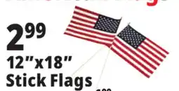 Ocean State Job Lot 12x18 Stick Flags offer