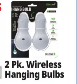 Ocean State Job Lot Wireless Hanging Bulbs offer