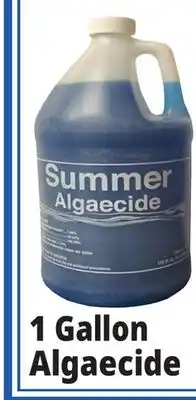 Ocean State Job Lot 1 Gallon Algaecide offer